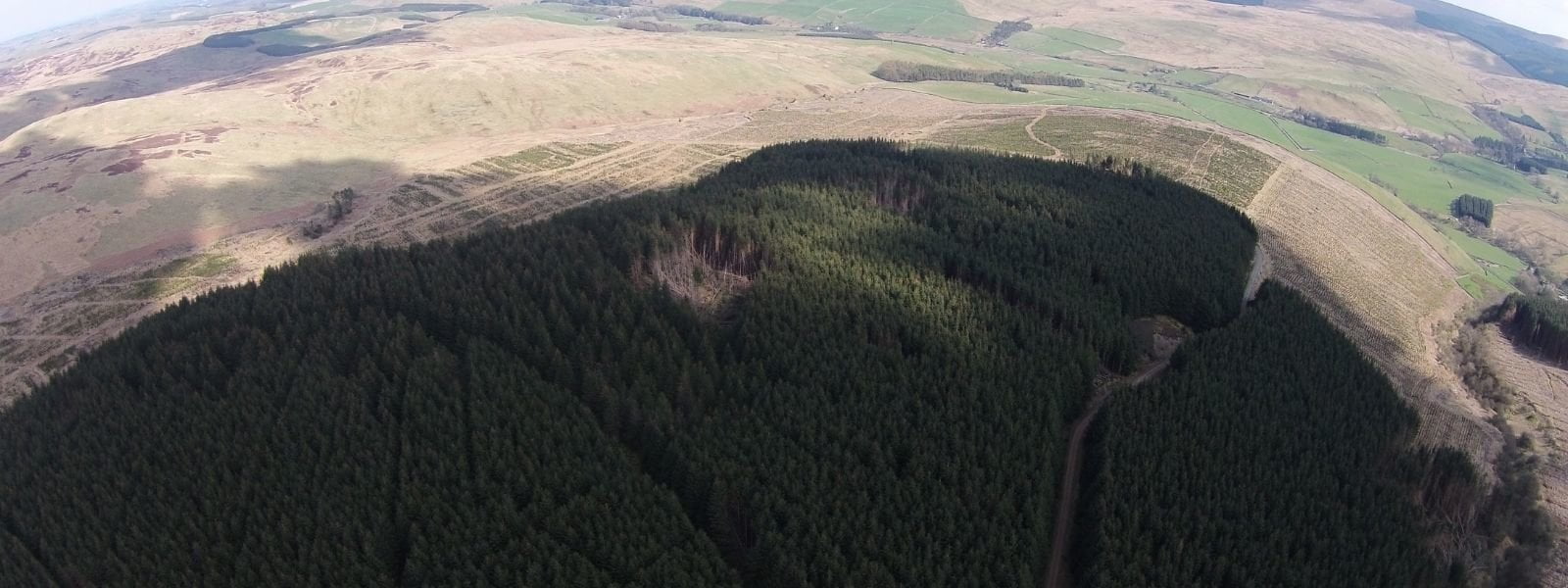 Aerial photograph of commercial forest taken from a drone. Courtesy of Mark Page.