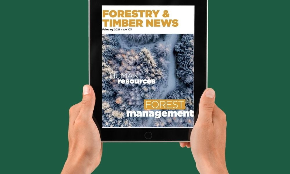 Front cover of Forestry and Timber News being viewed on a tablet.