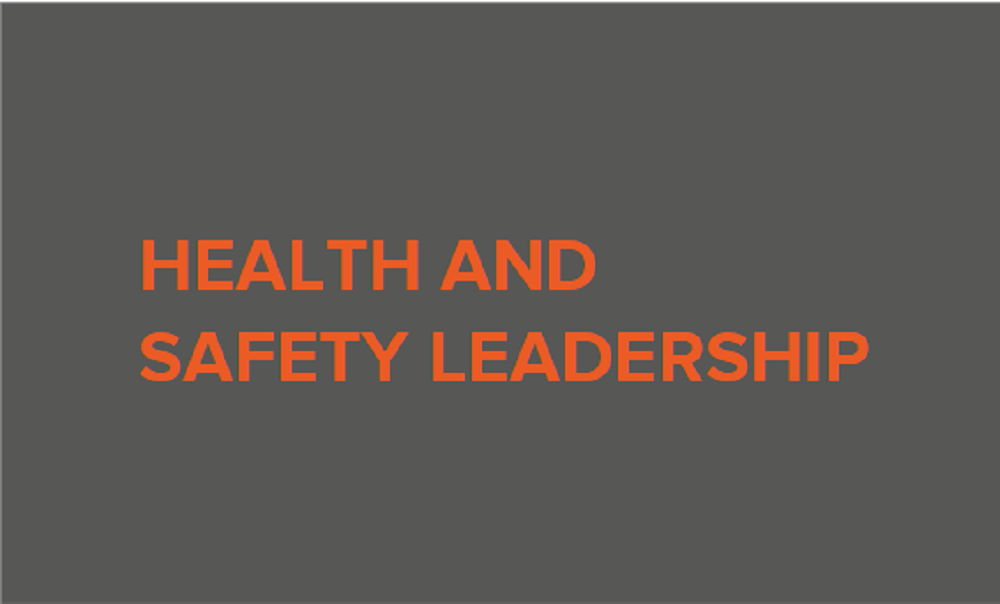 Image displaying title of article "Health and Safety Leadership"