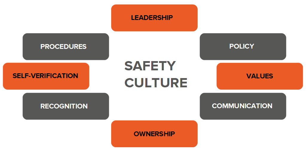 Illustration to show the components which contribute to an organisation's health and safety culture - leadership, policy, values, communication, ownership, recognition, self-verification and procedures.